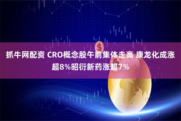 抓牛网配资 CRO概念股午前集体走高 康龙化成涨超8%昭衍新药涨超7%