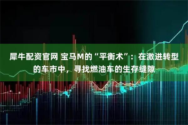 犀牛配资官网 宝马M的“平衡术”：在激进转型的车市中，寻找燃油车的生存缝隙