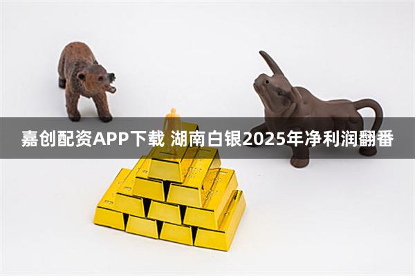 嘉创配资APP下载 湖南白银2025年净利润翻番